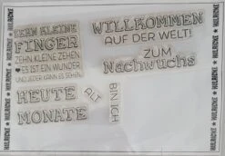 Kulricke - Nachwuchs