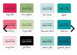 Altenew - Flowers And Skies Crisp Dye Ink Mini Cube Bundle