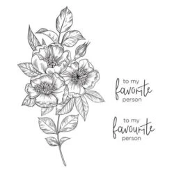 Spellbinders - BetterPress Letterpress System -Bürobedarf Geschäft spellbinders betterpress letterpress system bp 001 3