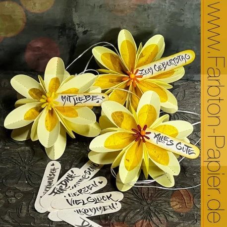 FarbTon - Stempel-Set 105 3 FarbTon - Stempel-Set 105