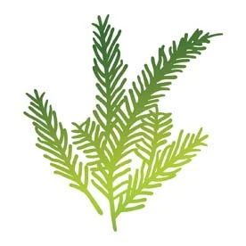 Couture Creations Hotfoil Stamp - Tannenzweige 3 Couture Creations Hotfoil Stamp - Tannenzweige